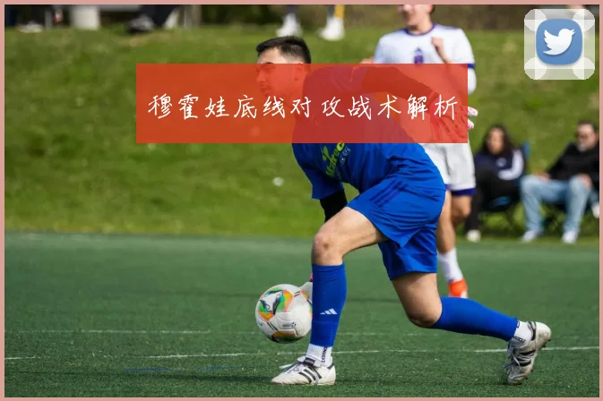 穆霍娃底线对攻战术解析
