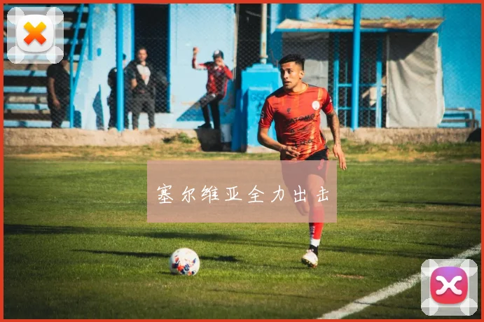 塞尔维亚全力出击