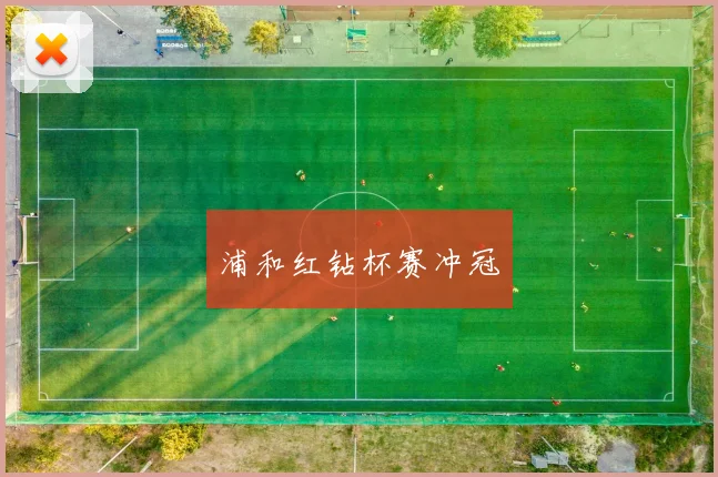 浦和红钻杯赛冲冠
