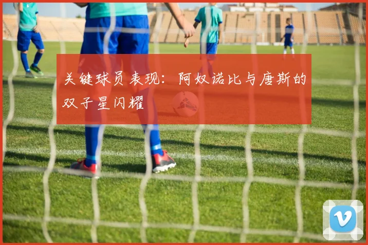 关键球员表现：阿奴诺比与唐斯的双子星闪耀