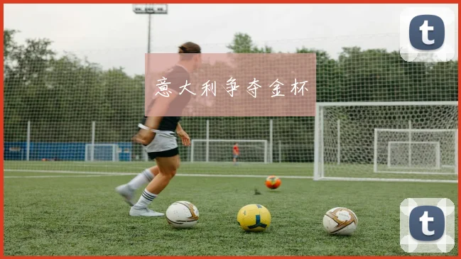 意大利争夺金杯