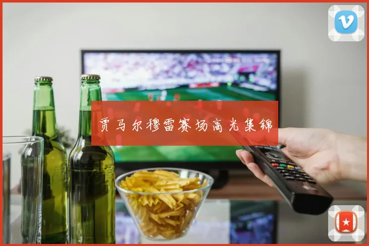 贾马尔穆雷赛场高光集锦