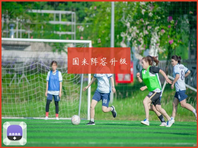 国米阵容升级