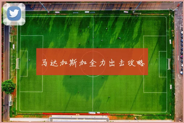 马达加斯加全力出击攻略