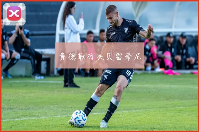 费德勒对决贝雷蒂尼