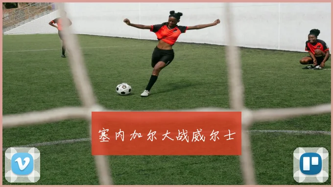 塞内加尔大战威尔士