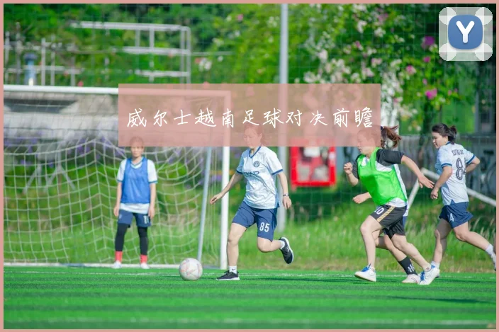 威尔士越南足球对决前瞻