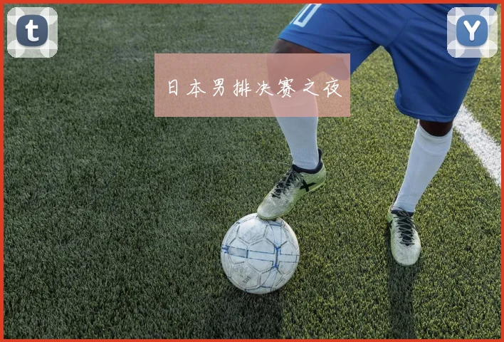 日本男排决赛之夜