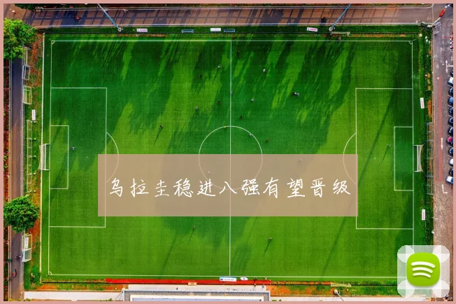 乌拉圭稳进八强有望晋级