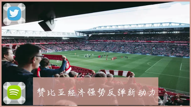 赞比亚经济强势反弹新动力