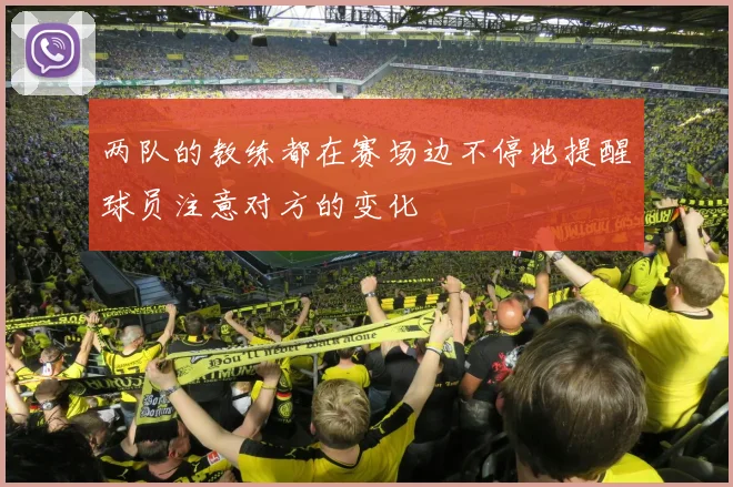 两队的教练都在赛场边不停地提醒球员注意对方的变化