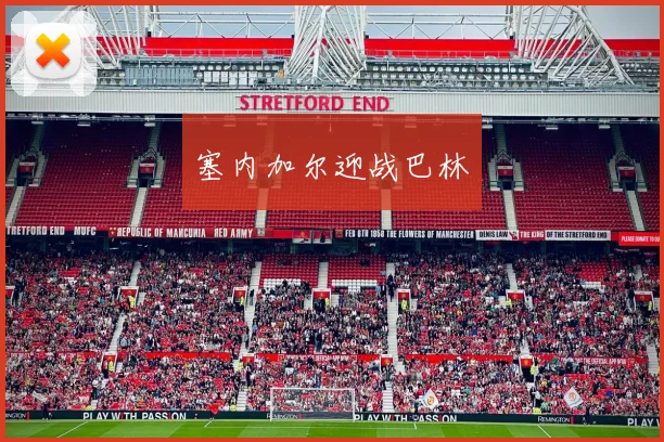 塞内加尔迎战巴林