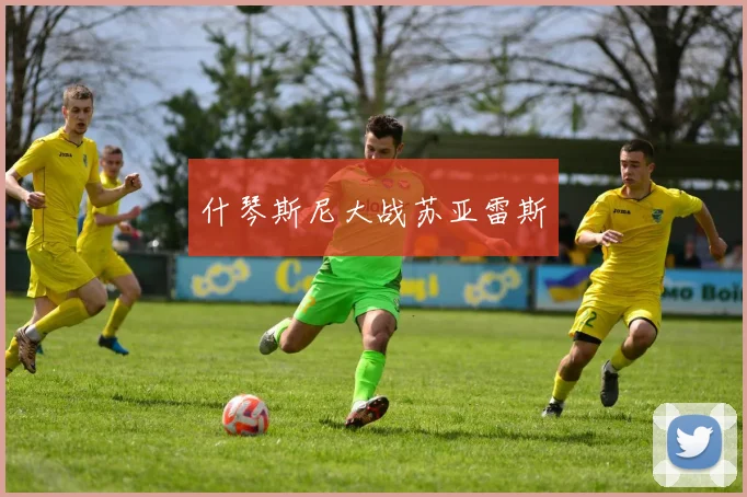 什琴斯尼大战苏亚雷斯