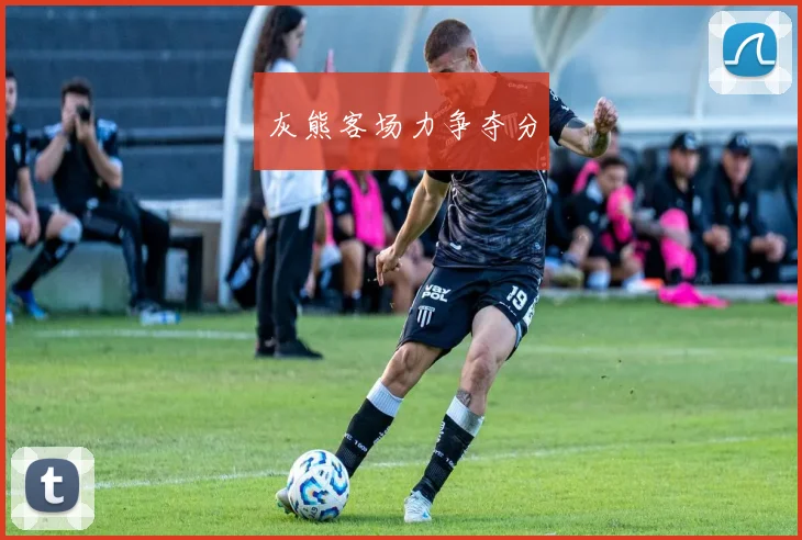 灰熊客场力争夺分