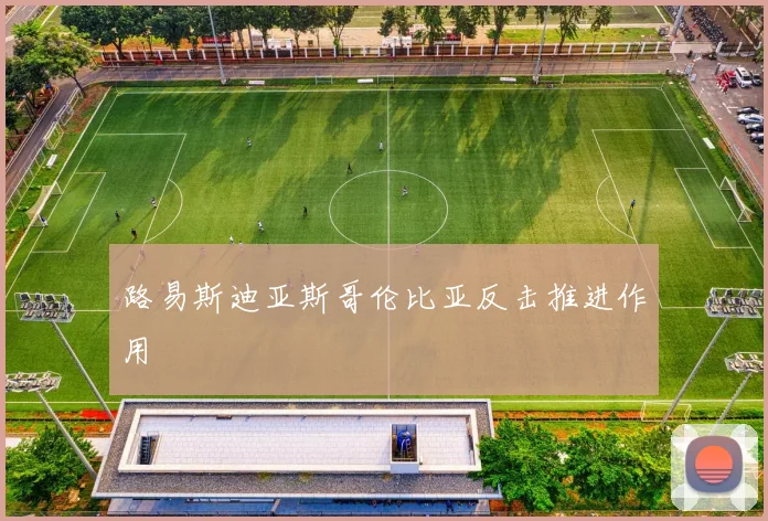 路易斯迪亚斯哥伦比亚反击推进作用