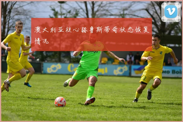 澳大利亚核心赫鲁斯蒂奇状态恢复情况